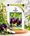 Stripes Brinjal - Image 1